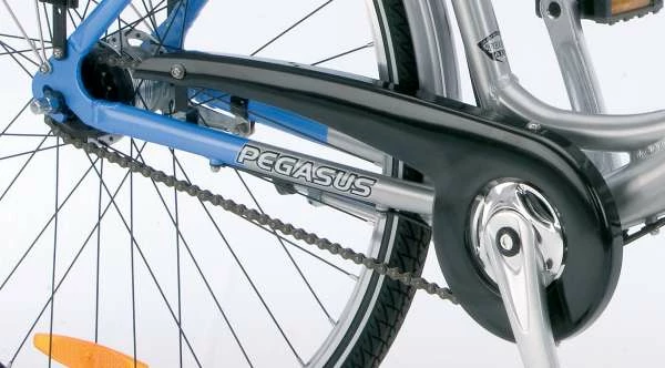 Zeg Trade Star Kettenschutz Für Pegasus Solero Nabenschaltung 1 Zeg Trade Star Kettenschutz Für Pegasus Solero Nabenschaltung