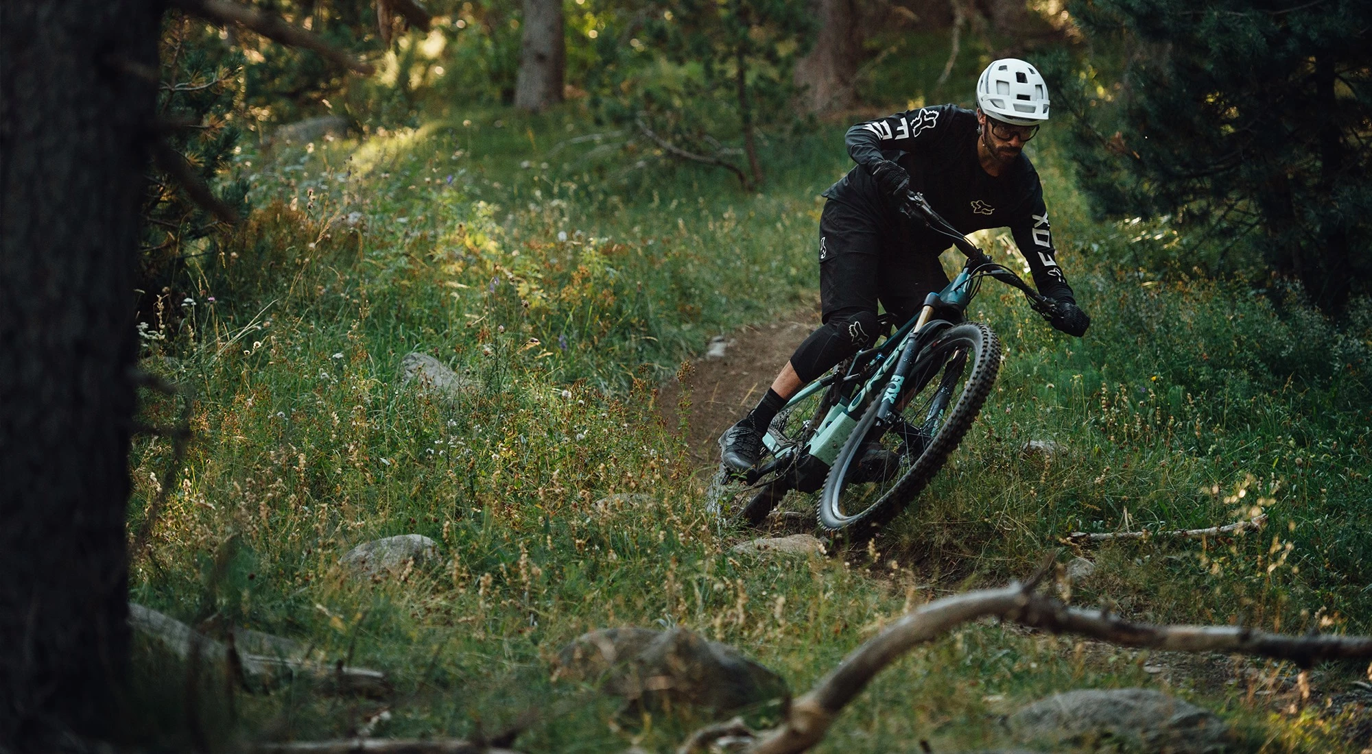 Sattelstützen Verkäufe -Sattelstützen Verkäufe 131219525 3821633761200962 2656200773265164975 n