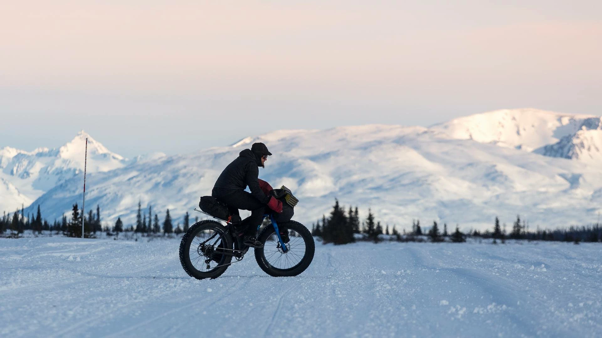 Sattelstützen Verkäufe -Sattelstützen Verkäufe 148988843 3981646445199692 2133474766923771855 n