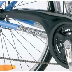 Trade Star Kettenschutz Für Pegasus Solero